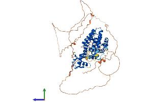 AlphaFold protein structure predicition of Mouse Recombinant Esr1 Protein, UniprotID P19785
