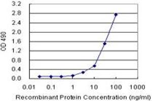 Sandwich ELISA detection sensitivity ranging from 1 ng/mL to 100 ng/mL. (IL13 (Humain) Matched Antibody Pair)
