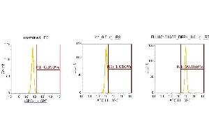 Flow Cytometry (FACS) image for anti-Amyloid beta (A4) Precursor Protein (APP) (AA 18-289) antibody (APC) (ABIN5566498)