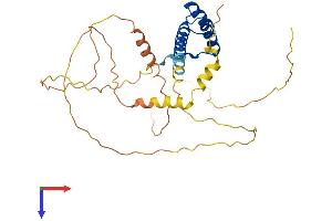 AlphaFold protein structure predicition of Mouse Recombinant Phox2b Protein, UniprotID O35690