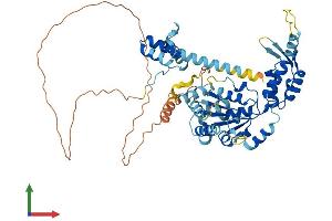 AlphaFold protein structure predicition of Human Recombinant KATNAL2 Protein, UniprotID Q8IYT4