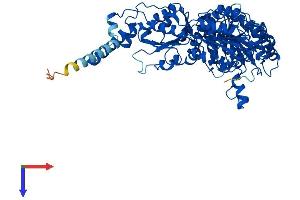 AlphaFold protein structure predicition of Mouse Recombinant Ilvbl Protein, UniprotID Q8BU33