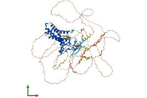 AlphaFold protein structure predicition of Human Recombinant ZDHHC8 Protein, UniprotID Q9ULC8