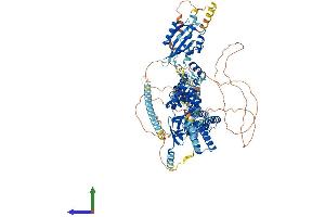 AlphaFold protein structure predicition of Human Recombinant KCNH5 Protein, UniprotID Q8NCM2