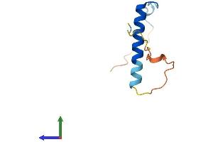 AlphaFold protein structure predicition of Mouse Recombinant Nrgn Protein, UniprotID P60761