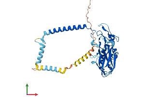 AlphaFold protein structure predicition of Human Recombinant ATP1B4 Protein, UniprotID Q9UN42
