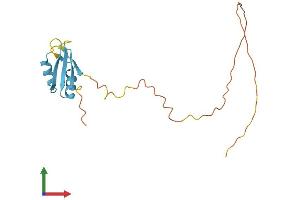 AlphaFold protein structure predicition of Human Recombinant SRSF3 Protein, UniprotID P84103