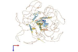 AlphaFold protein structure predicition of Human Recombinant MBD5 Protein, UniprotID Q9P267