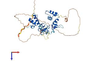 AlphaFold protein structure predicition of Human Recombinant RFFL Protein, UniprotID Q8WZ73