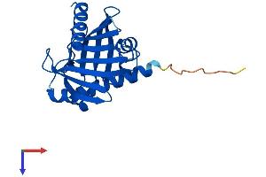 AlphaFold protein structure predicition of Human Recombinant STARD6 Protein, UniprotID P59095