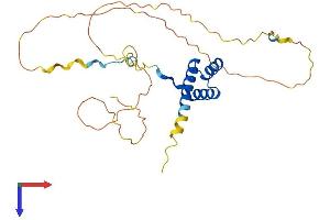 AlphaFold protein structure predicition of Mouse Recombinant Hoxa5 Protein, UniprotID P09021