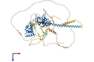 AlphaFold protein structure predicition of Human Recombinant JADE2 Protein, UniprotID Q9NQC1