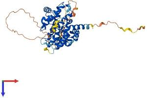 AlphaFold protein structure predicition of Mouse Recombinant Ccne2 Protein, UniprotID Q9Z238