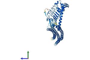 AlphaFold protein structure predicition of Human Recombinant DRC3 Protein, UniprotID Q9H069