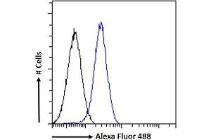 (ABIN334406) Flow cytometric analysis of paraformaldehyde fixed A549 cells (blue line), permeabilized with 0.