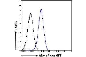 (ABIN334406) Flow cytometric analysis of paraformaldehyde fixed A549 cells (blue line), permeabilized with 0. (GADD45G anticorps  (Internal Region))