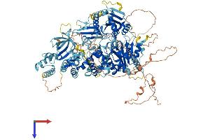 AlphaFold protein structure predicition of Human Recombinant HELB Protein, UniprotID Q8NG08