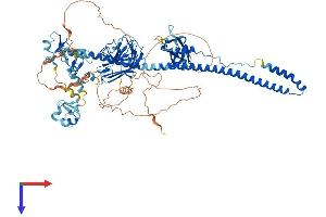 AlphaFold protein structure predicition of Mouse Recombinant Trim9 Protein, UniprotID Q8C7M3