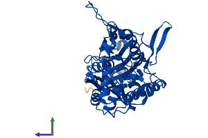 AlphaFold protein structure predicition of Mouse Recombinant Acat2 Protein, UniprotID Q8CAY6