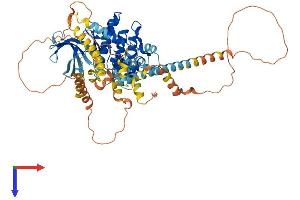 AlphaFold protein structure predicition of Human Recombinant NEK11 Protein, UniprotID Q8NG66