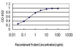 Detection limit for recombinant GST tagged GMEB1 is approximately 0.