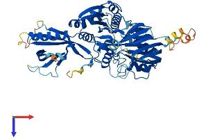 AlphaFold protein structure predicition of Human Recombinant CERK Protein, UniprotID Q8TCT0