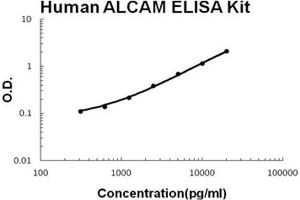Human ALCAM PicoKine ELISA Kit standard curve (CD166 Kit ELISA)