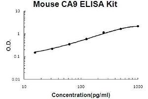 Mouse CA9 PicoKine ELISA Kit standard curve (CA9 Kit ELISA)