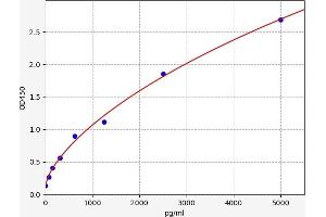 Typical standard curve (ATP1A3 Kit ELISA)