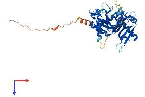 AlphaFold protein structure predicition of Human Recombinant CENPL Protein, UniprotID Q8N0S6