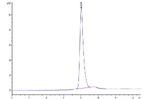 The purity of Cynomolgus DLK1 is greater than 95 % as determined by SEC-HPLC.