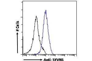 ABIN1590085 Flow cytometric analysis of paraformaldehyde fixed A431 cells (blue line), permeabilized with 0.