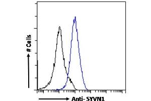 ABIN1590085 Flow cytometric analysis of paraformaldehyde fixed A431 cells (blue line), permeabilized with 0. (SYVN1 anticorps  (Internal Region))