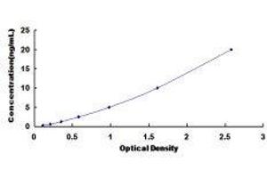 Glutaminase (GLS) ELISA Kit