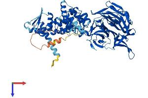 AlphaFold protein structure predicition of Human Recombinant KLHL40 Protein, UniprotID Q2TBA0