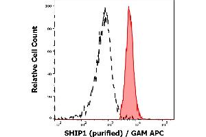 Separation of MOLT-4 cells (red-filled) from CaCo-2 cells (black-dashed) in flow cytometry analysis (intracellular staining) of cellular suspensions of MOLT-4 and CaCo-2 cell lines stained using anti-SHIP1 (SHIP-01) purified antibody (concentration in sample 1 μg/mL, GAM APC).