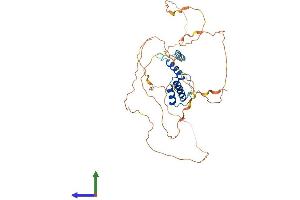 AlphaFold protein structure predicition of Human Recombinant SSBP3 Protein, UniprotID Q9BWW4