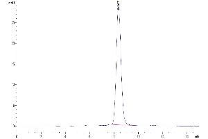 The purity of Mouse FSHB is greater than 95 % as determined by SEC-HPLC.