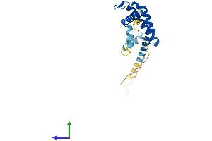 AlphaFold protein structure predicition of Human Recombinant ARL2BP Protein, UniprotID Q9Y2Y0