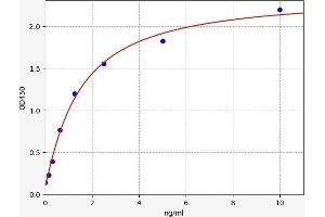 Typical standard curve (TFAP2B Kit ELISA)