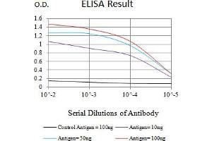 Black line: Control Antigen (100 ng),Purple line: Antigen (10 ng), Blue line: Antigen (50 ng), Red line:Antigen (100 ng) (LILRA4 anticorps  (AA 24-178))