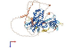 AlphaFold protein structure predicition of Human Recombinant ARHGEF19 Protein, UniprotID Q8IW93