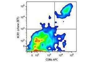 Flow Cytometry (FACS) image for anti-Chemokine (C Motif) Receptor 1 (XCR1) antibody (ABIN2665462)