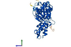 AlphaFold protein structure predicition of Human Recombinant ACTR3B Protein, UniprotID Q9P1U1