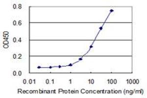 Detection limit for recombinant GST tagged HS3ST2 is 0.