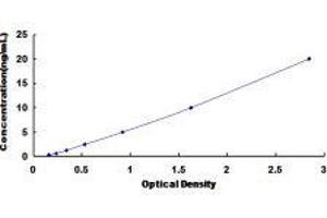 Pregnancy-Associated Plasma Protein A, Pappalysin 1 (PAPPA) ELISA Kit