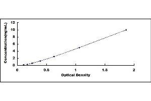 Typical standard curve (SNCG Kit ELISA)