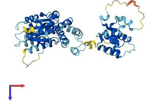 AlphaFold protein structure predicition of Mouse Recombinant Orc5 Protein, UniprotID Q9WUV0