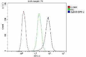 Flow Cytometry analysis of SiHa cells using anti-ALDOB antibody (ABIN7602563). (ALDOB anticorps  (AA 85-364))