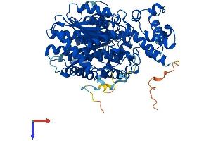 AlphaFold protein structure predicition of Human Recombinant GCKR Protein, UniprotID Q14397